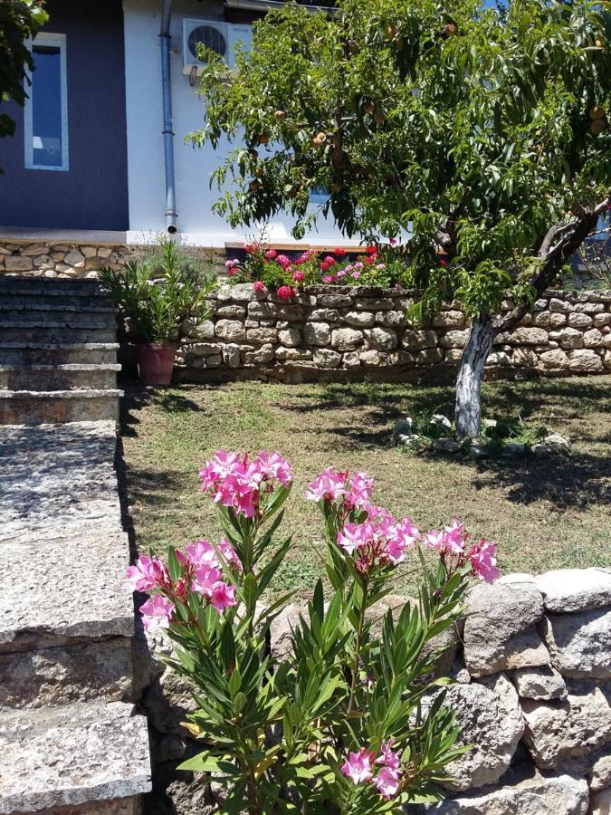 Villa Sunny Day Святые Константин и Елена Экстерьер фото